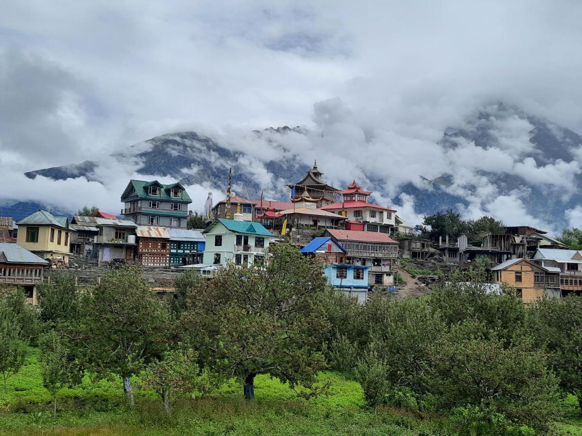 Wanderers Homestay -All Mountain Facing Rooms Kalpa Ngoại thất bức ảnh